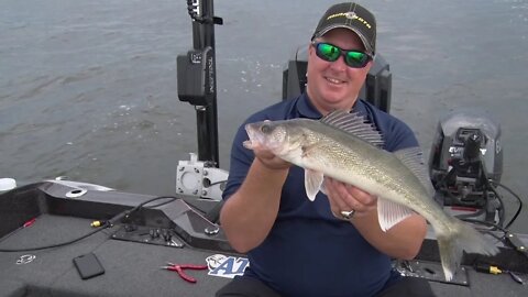 Downrigger walleye on Lake of the Woods