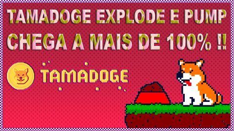 TAMADOGE EXPLODE E PUMP CHEGA A MAIS DE 100% !!!