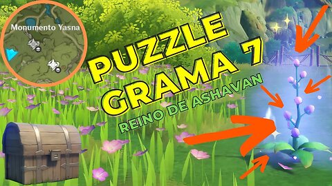 Puzzle da grama 7/12 | Sumeru - Genshin Impact