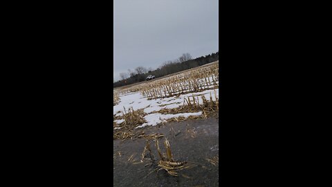 Fun fourwheeler ride