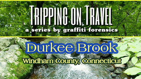 Tripping on Travel: Durkee Brook, Windham County, CT