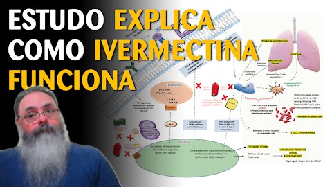 Além das correlações estatísticas, exista a explicação biológica da ação da ivermectina