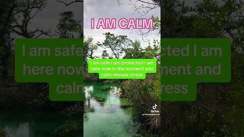 I AM CALM#shortsfeed #goodvibes #spiritualawakening #calm #affirmations #antistress #iam#calming