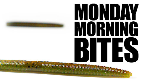 Fishing a Zoom Zlinky for Largemouth Bass | Monday Morning Bites: Episode 8