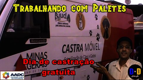 Trabalhando com paletes - Dia de castração Gratuita