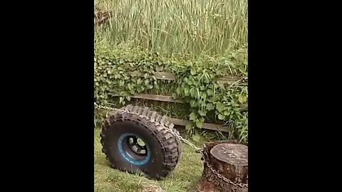 Stump removal using a tyre 😳#Shorts #ytshorts #dailyhackness #challenges #doityourself #useful