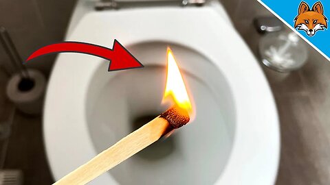 🦊 THIS is why you should Light a MATCH on the TOILET 🔥