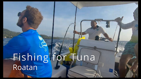 Fishing for Tuna