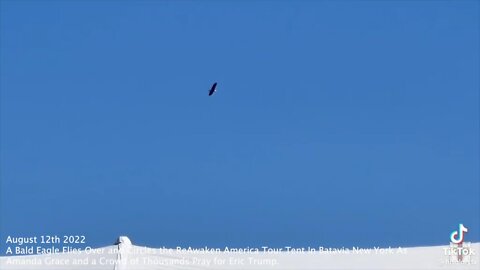 Eric Trump A Bald Eagle Flies Over and Circles the ReAwaken America Tour Tent