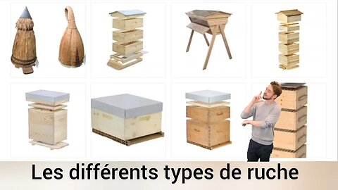 Les différents types de ruche en apiculture, leurs avantages et les inconvénients