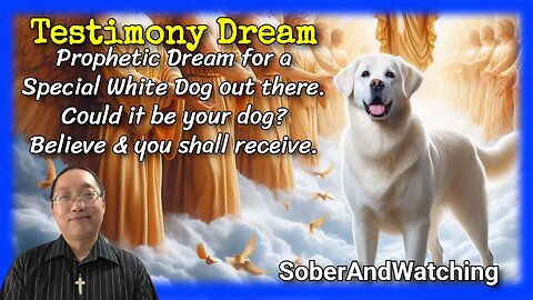 Dog Miracle Dream Talks to women Prophecy About Jesus's Return