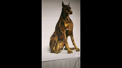 Doberman x Art #foryou #art