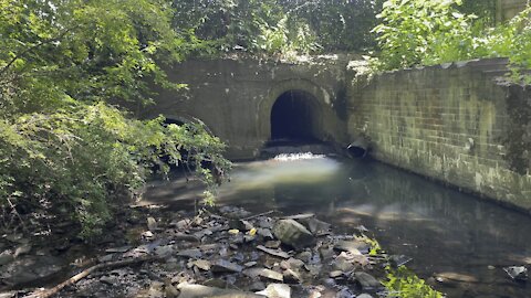 Exploring Schenectady - Cow Horn creek