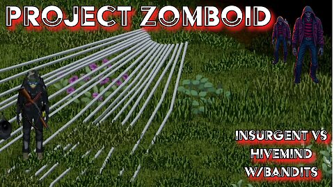 Project Zomboid Bandits vs Insurgent