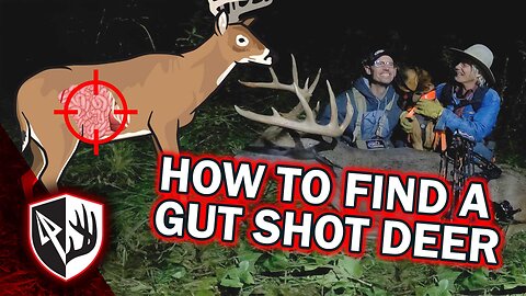 How To Find A Gut Shot Deer!