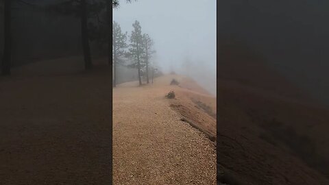 Fog in Bryce Canyon National Park