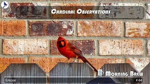 Cardinal Observations