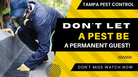 Don’t Let a Pest Be a Permanent Guest!