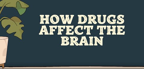 How Drugs Affect the Brain