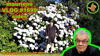 maurieos VLOG #1699 sides