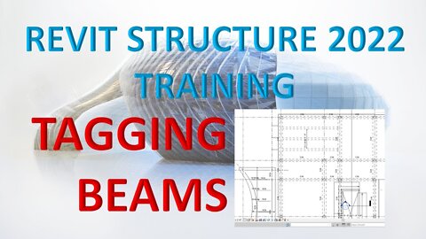 REVIT STRUCTURE 2022 LESSON 36 - HOW TO TAG BEAMS