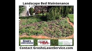 Landscape Bed Maintenance Williamsport MD Video GroshsLawnService.com