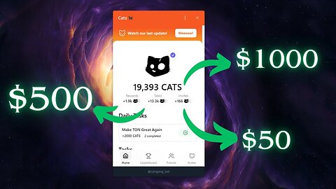 ÚLTIMOS DIAS PARA FARMAR O AIRDROP DA CATS E INFORMAÇÕES DO SUPPLY! CORRE