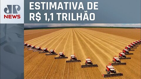 Ministério da Agricultura reduz valor bruto da produção agropecuária