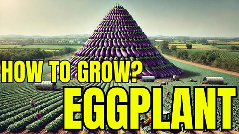 How to Grow Bringle at a Large Scale: Secrets Farmers Won't Tell You