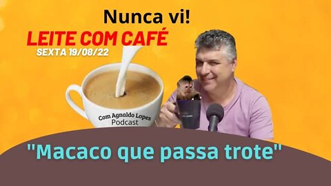 MACACO QUE PASSA TROTE - LEITE COM CAFÉ