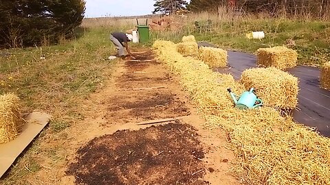 Wild Urban Gardens 2023 - York Garden Project No. 04 - Planting early crops