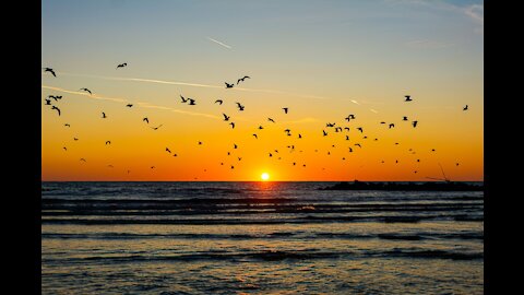 Relaxing Nature Sounds - Of Waves - Ocean Sounds with Seagulls - Sleep, Meditation, Yoga | 15 Min