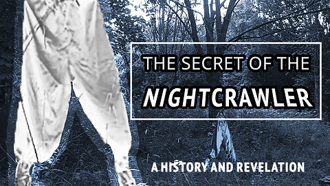 The Secret Of The Nightcrawler