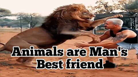 Animals are Man's Best Friend