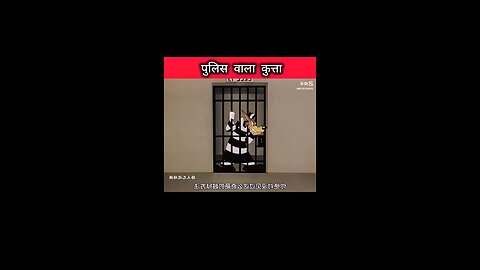 कुत्ता और कैदी #trending #viral #shorts