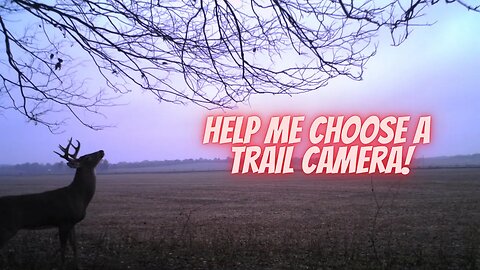 Help me choose a new trail camera!