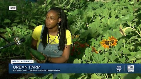 An urban farm in Phoenix is helping feed underserved communities