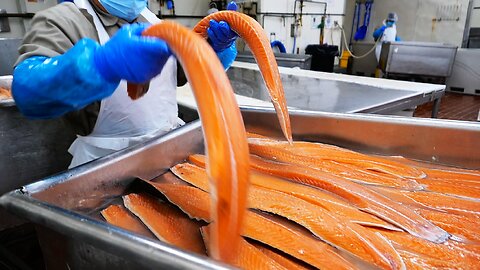 New York City Food - The BIGGEST Smoked Salmon Factory!