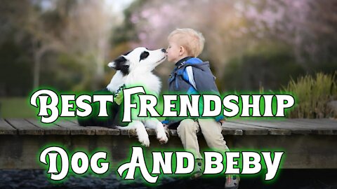 Dog and beby frendship best moment for life