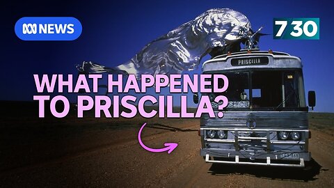 The search for the missing bus from Priscilla, Queen of the Desert | 7.30