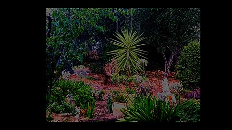 Winter in Australia - RAIN and distant thunder ambience.