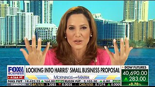 Rep. Maria Salazar grills Harris' tax plan for small businesses: 'What a disaster'