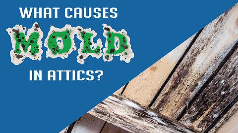 What causes Mold in Attics? [Segment]