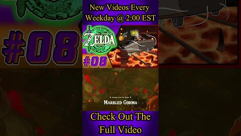 Legend Of Zelda Tears Of The Kingdom Part 8 Video Highlights #shorts