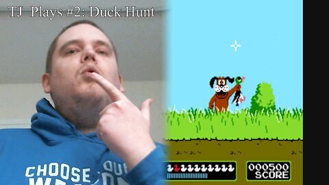 Duck Hunt - TJ Plays #2