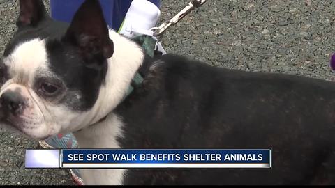 Annual "See Spot Walk" fundraiser takes over Julia Davis Park