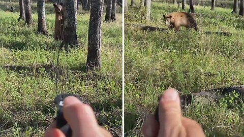 This is your friendly reminder to always carry bear spray!