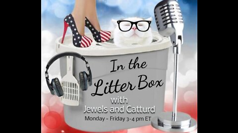 Nuclear BS - In the Litter Box w/ Jewels & Catturd 8/12/2022 - Ep. 145