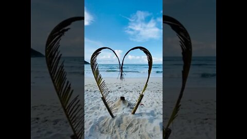 A Heart Shaped Made from Palm Leaves for Photo Shots Background