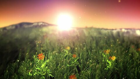 Magical Nature Relaxation: 1 Hour of Calming Music and Sunshine Video for Deep Relaxation